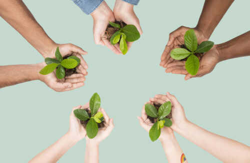 Hands cupping plant save the environment campaign