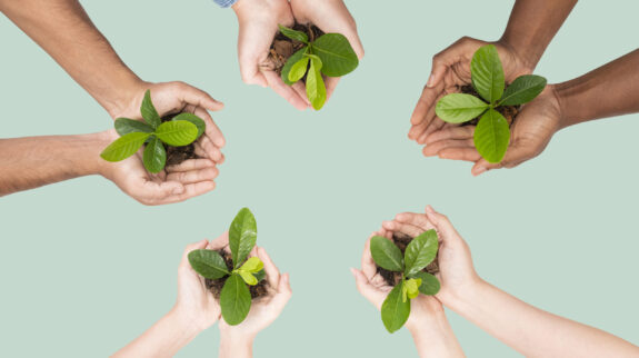 Hands cupping plant save the environment campaign