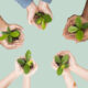 Hands cupping plant save the environment campaign