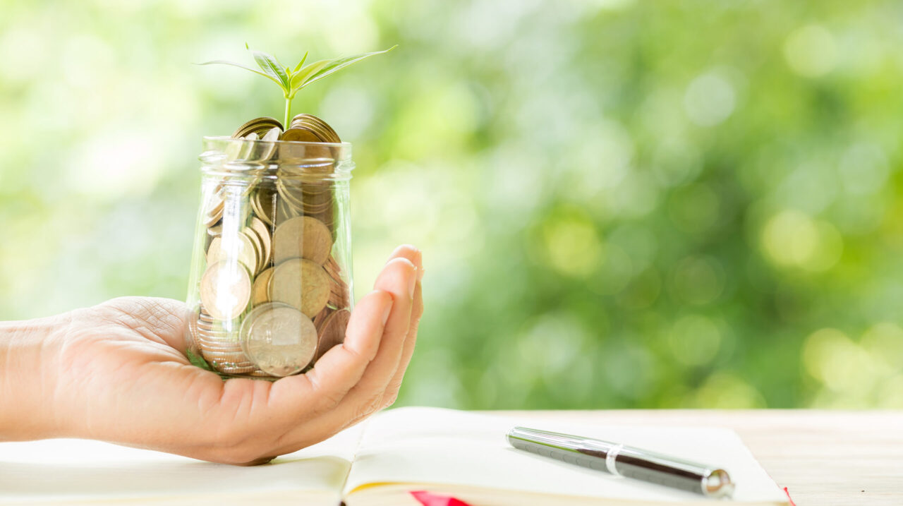 Woman hand holding plant growing from coins bottle in the on blurred green natural background