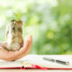 Woman hand holding plant growing from coins bottle in the on blurred green natural background